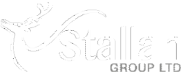 logo icon